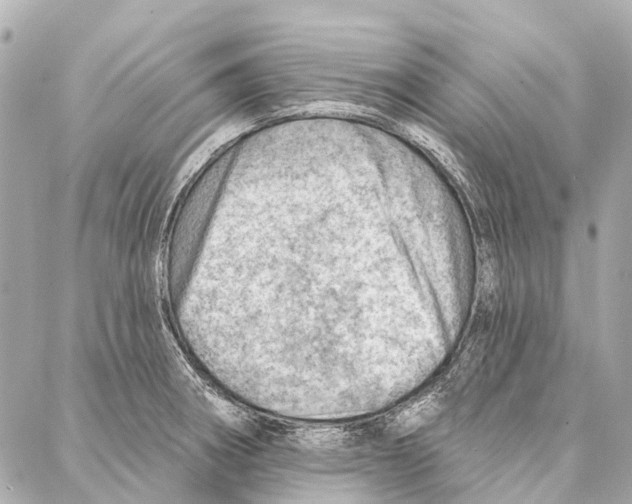 X0000086981282200705141707