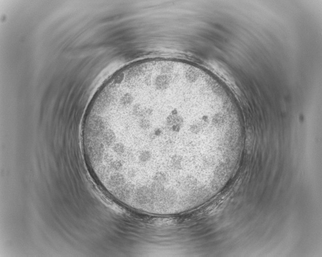 X0000086981283200705141706