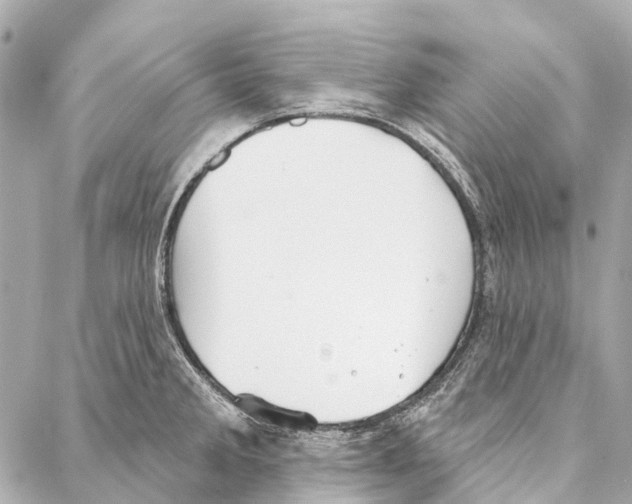 X0000086981285200705141706