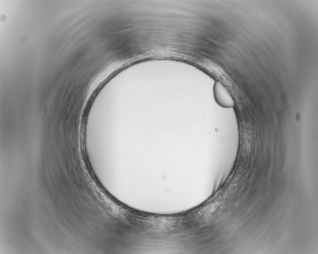 X0000086981286200705141706