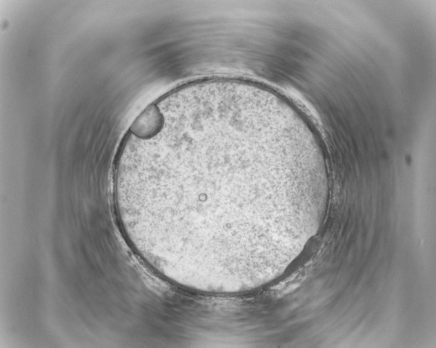 X0000086981287200705141706