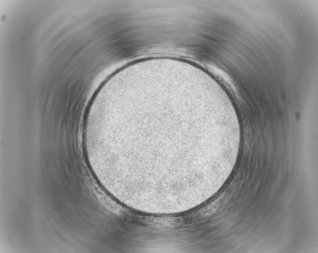 X0000086981288200705141706