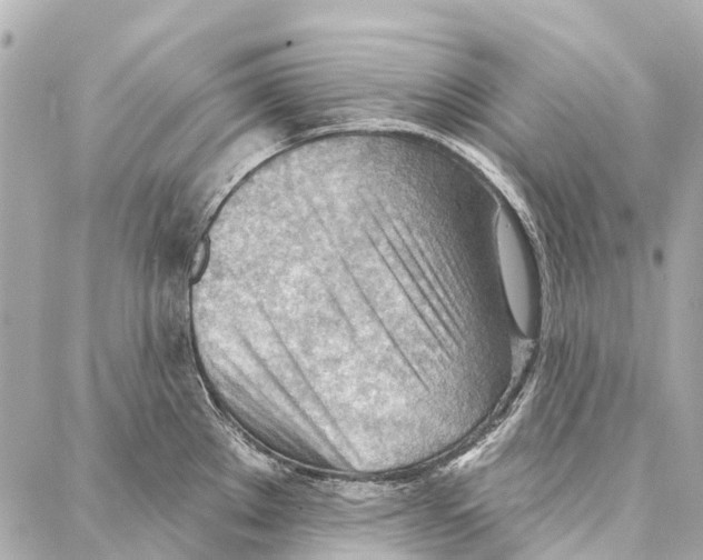 X0000086981289200705141706