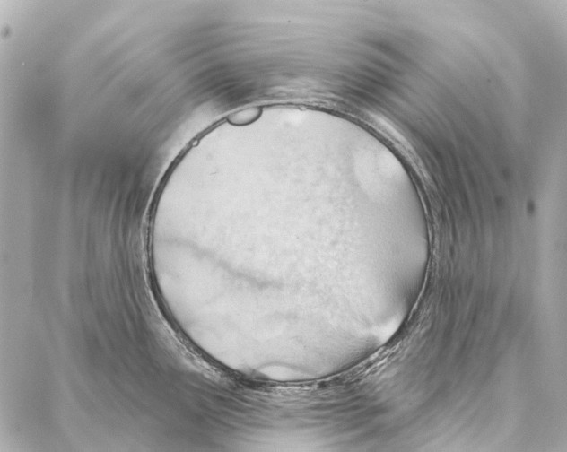 X0000086981291200705141706