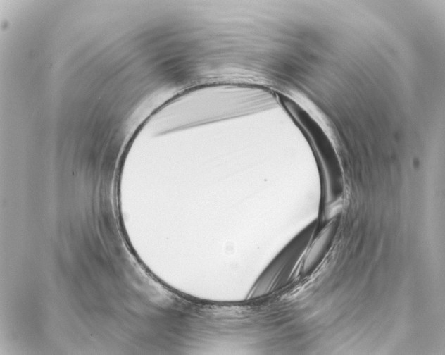 X0000086981293200705141706