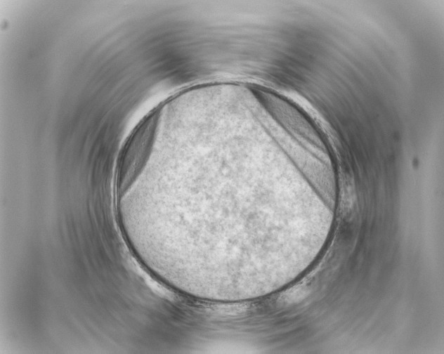 X0000086981294200705141706