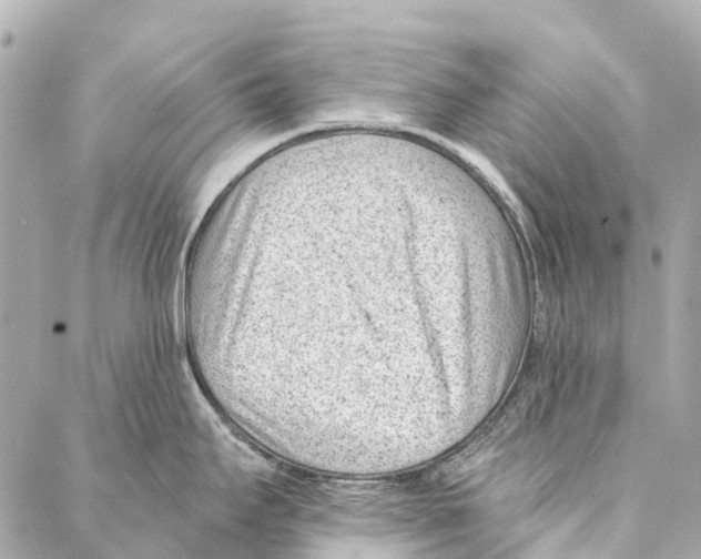 X0000086981295200705141706