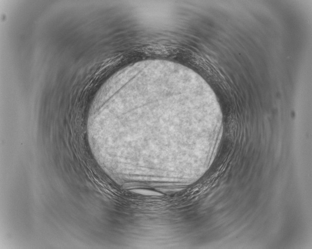 X0000086981297200705141706