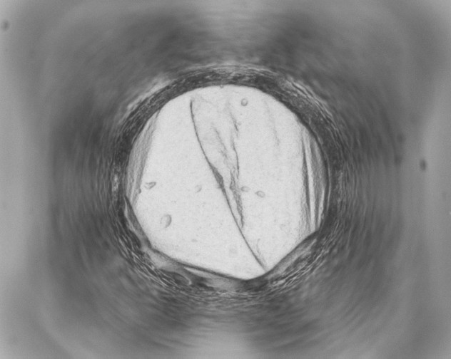 X0000086981302200705141706