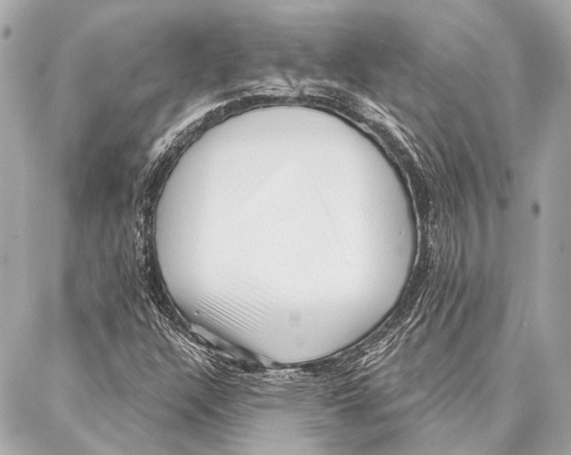 X0000086981304200705141706