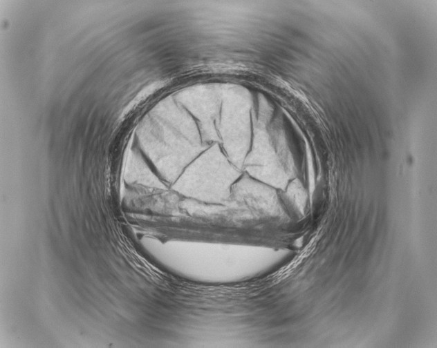 X0000086981306200705141706