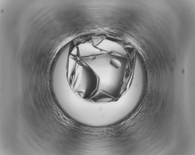 X0000086981308200705141706