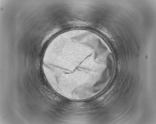 X0000086981309200705141706