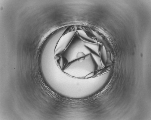 X0000086981310200705141706