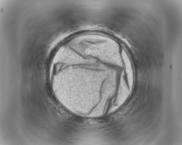 X0000086981311200705141706