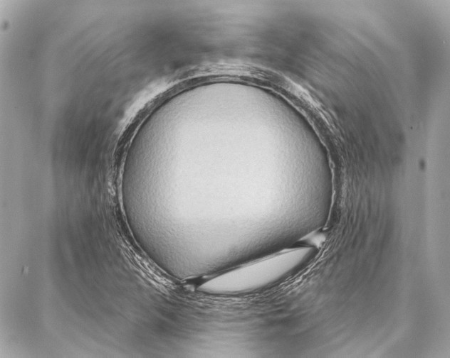 X0000086981312200705141706