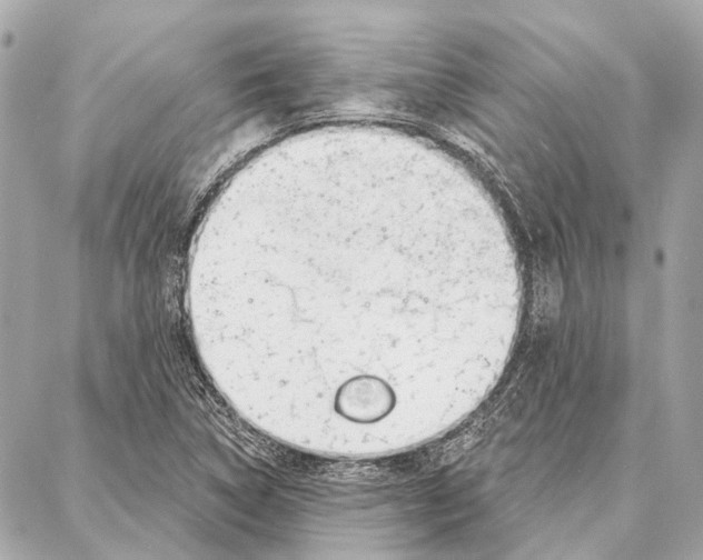 X0000086981314200705141706