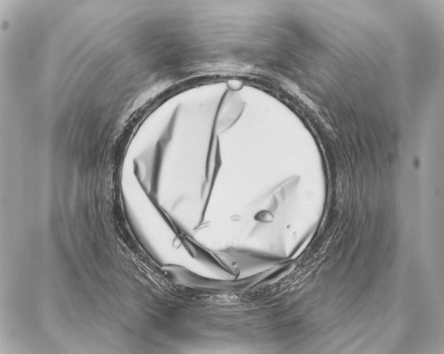 X0000086981315200705141706