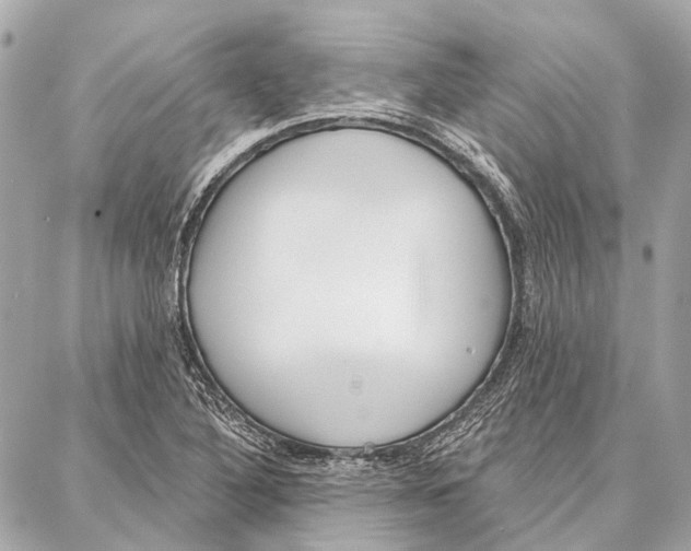 X0000086981316200705141706