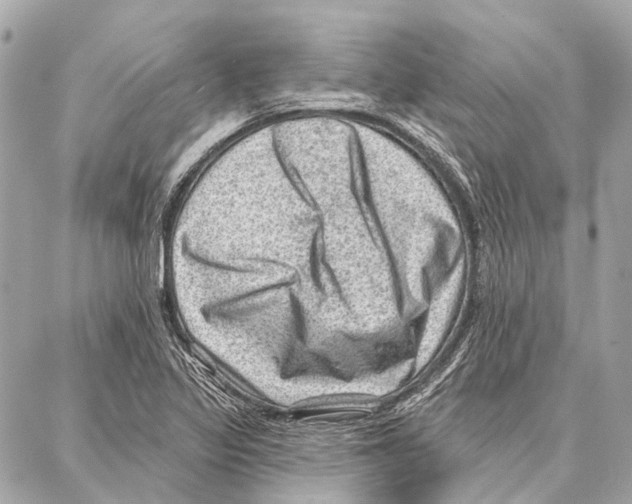 X0000086981317200705141706