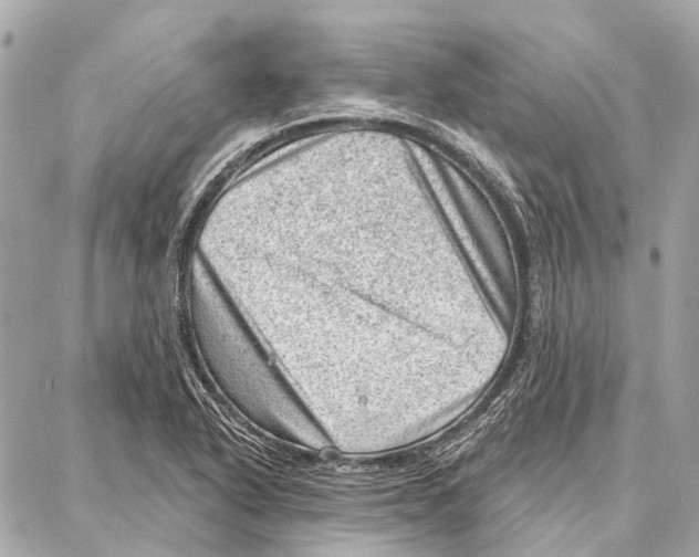 X0000086981318200705141706