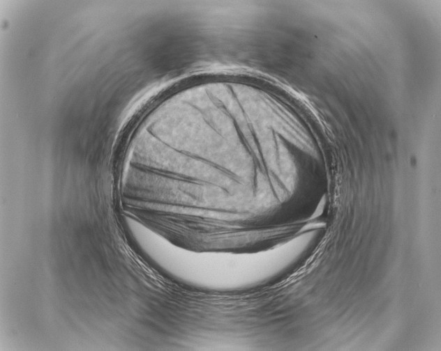 X0000086981319200705141706