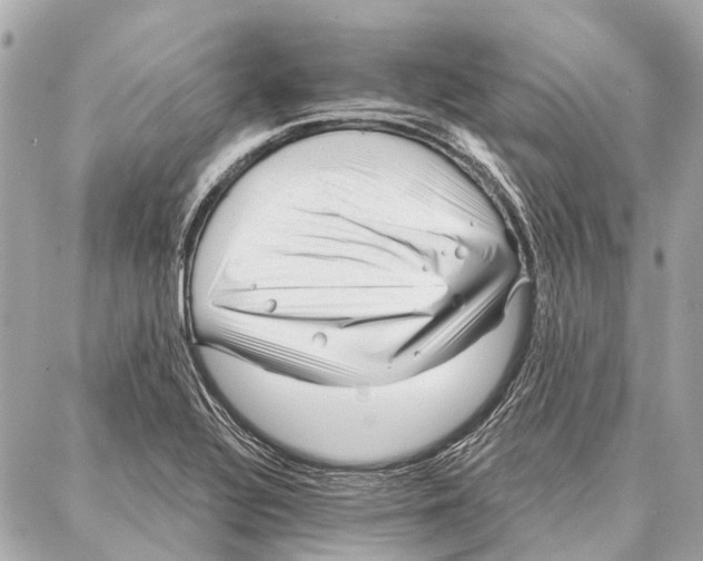 X0000086981320200705141706