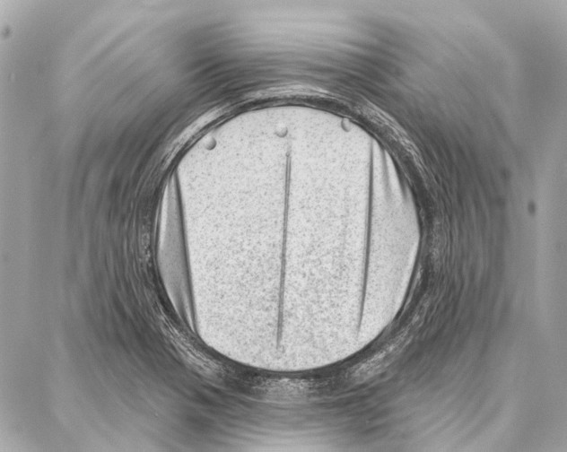 X0000086981321200705141706