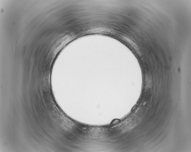 X0000086981322200705141706