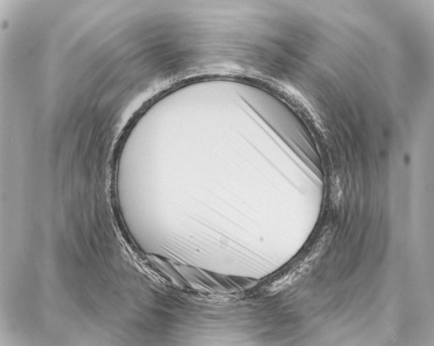 X0000086981326200705141706