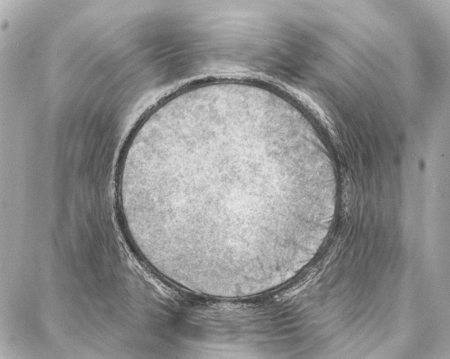 X0000086981327200705141706