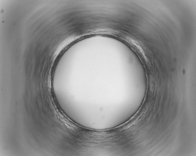 X0000086981328200705141706