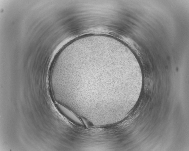 X0000086981331200705141706