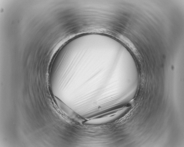 X0000086981332200705141706