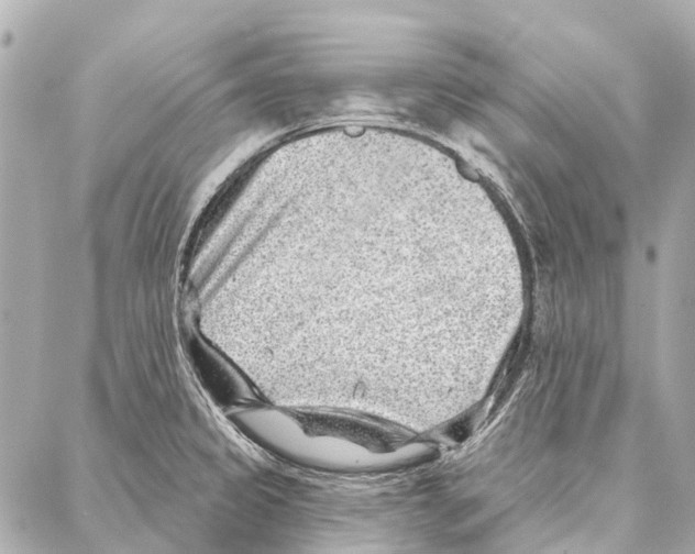 X0000086981333200705141706