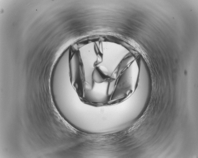 X0000086981334200705141706