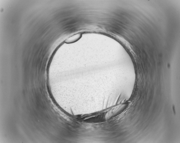 X0000086981335200705141706