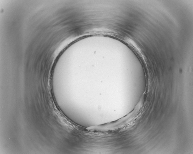 X0000086981336200705141706