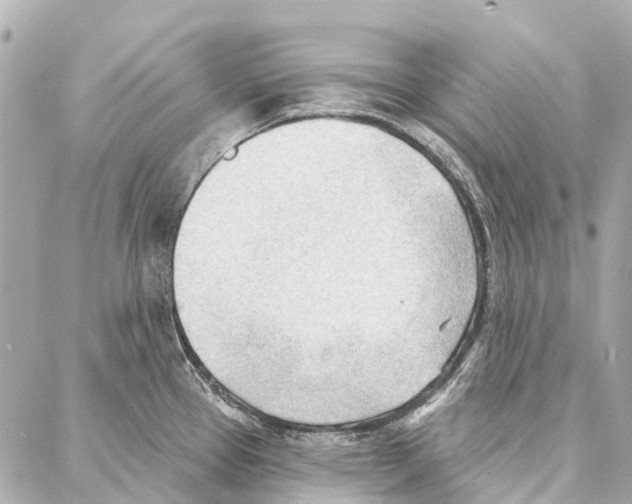 X0000086981337200705141706