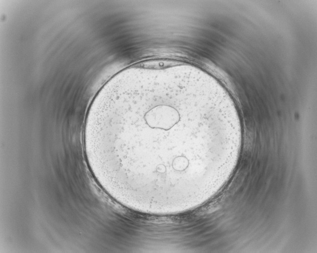 X0000086981338200705141706