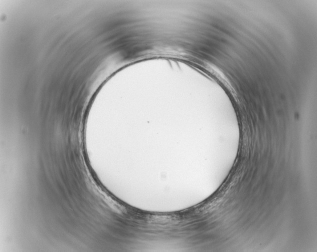 X0000086981339200705141706