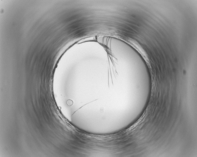 X0000086981340200705141706