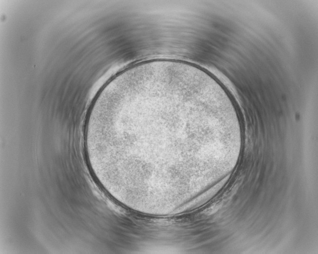 X0000086981341200705141706