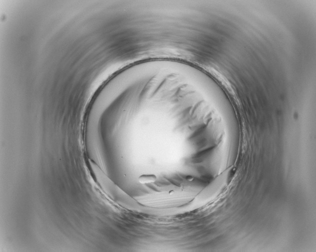 X0000086981342200705141706