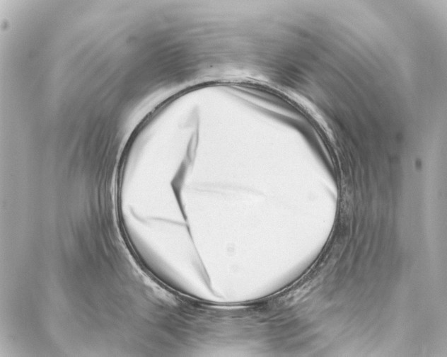 X0000086981343200705141706