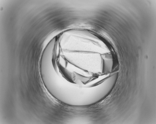 X0000086981344200705141706