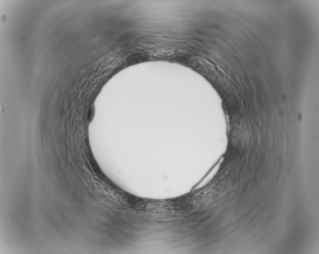 X0000086981345200705141705