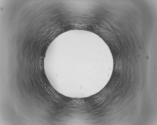 X0000086981346200705141705