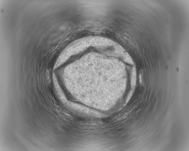 X0000086981347200705141705