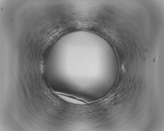 X0000086981348200705141705